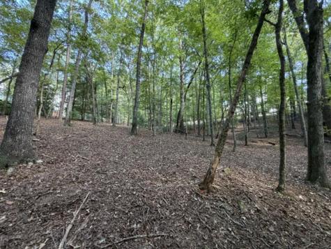 Lot 556 Satsuma Court Ellijay GA 30540