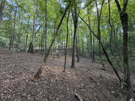 Lot 556 Satsuma Court Ellijay GA 30540