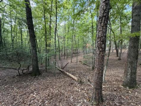 Lot 556 Satsuma Court Ellijay GA 30540