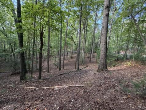 Lot 556 Satsuma Court Ellijay GA 30540