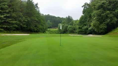 Lot 556 Satsuma Court Ellijay GA 30540