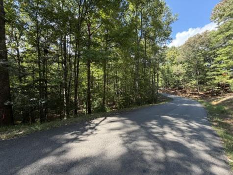 Lot 556 Satsuma Court Ellijay GA 30540