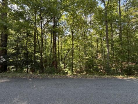 Lot 556 Satsuma Court Ellijay GA 30540