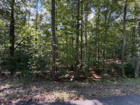 Lot 556 Satsuma Court Ellijay GA 30540