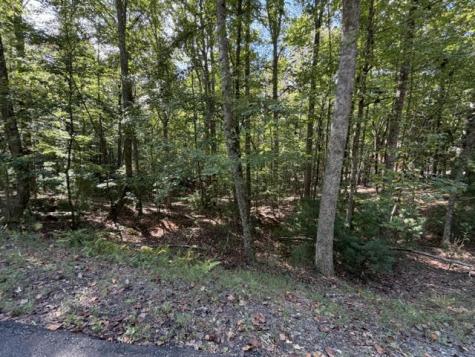 Lot 556 Satsuma Court Ellijay GA 30540