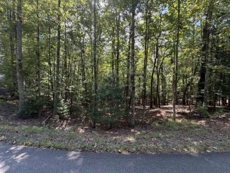 Lot 556 Satsuma Court Ellijay GA 30540
