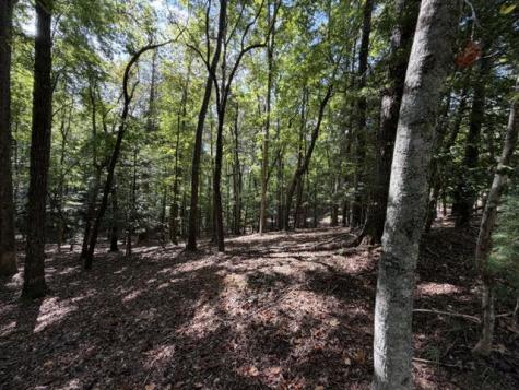 Lot 556 Satsuma Court Ellijay GA 30540