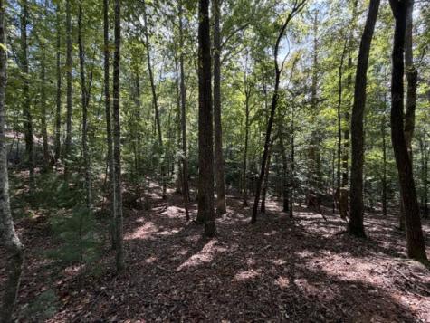 Lot 556 Satsuma Court Ellijay GA 30540