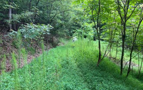 Lot 12 The Preserve At Beach Mountain Brasstown NC 28902