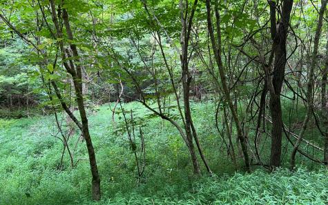 Lot 12 The Preserve At Beach Mountain Brasstown NC 28902