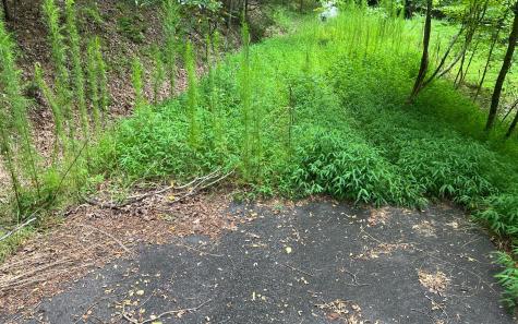 Lot 12 The Preserve At Beach Mountain Brasstown NC 28902