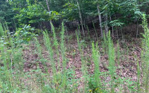 Lot 12 The Preserve At Beach Mountain Brasstown NC 28902