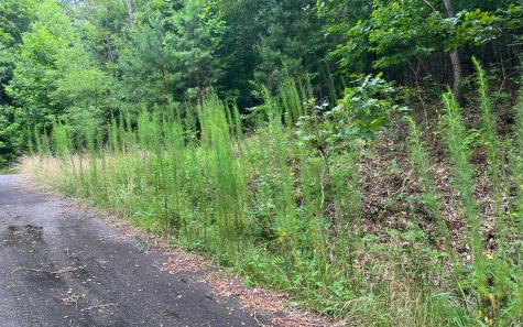 Lot 12 The Preserve At Beach Mountain Brasstown NC 28902