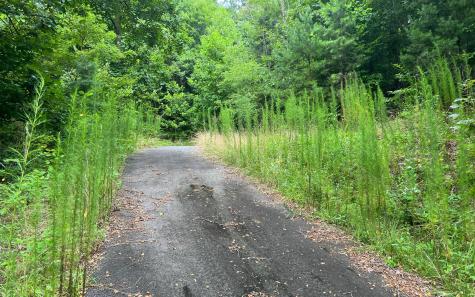 Lot 12 The Preserve At Beach Mountain Brasstown NC 28902