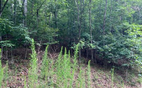 Lot 12 The Preserve At Beach Mountain Brasstown NC 28902
