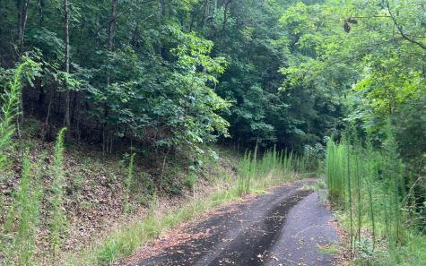 Lot 12 The Preserve At Beach Mountain Brasstown NC 28902