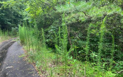 Lot 12 The Preserve At Beach Mountain Brasstown NC 28902