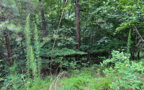 Lot 12 The Preserve At Beach Mountain Brasstown NC 28902