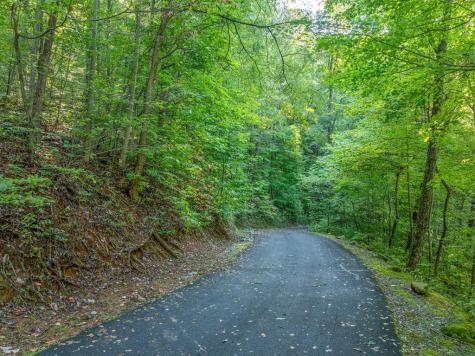 Lot 9 Moss Creek Trail Ellijay GA 30536