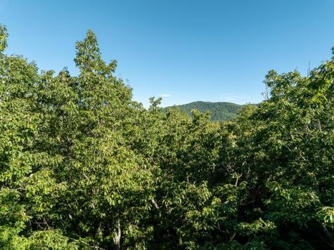 Lot 9 Moss Creek Trail Ellijay GA 30536