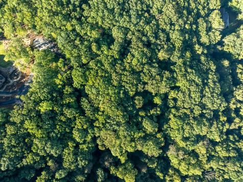 Lot 9 Moss Creek Trail Ellijay GA 30536