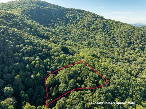 Lot 9 Moss Creek Trail Ellijay GA 30536