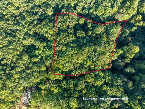 Lot 9 Moss Creek Trail Ellijay GA 30536