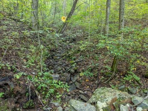 Lot 9 Moss Creek Trail Ellijay GA 30536