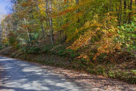N/a Willard Mountain Road Ellijay GA 30513