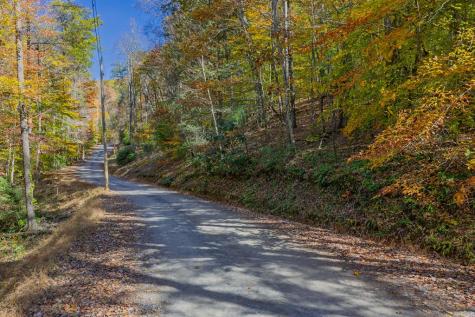N/a Willard Mountain Road Ellijay GA 30513