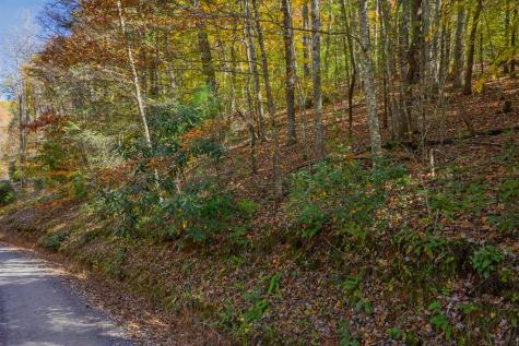 N/a Willard Mountain Road Ellijay GA 30513