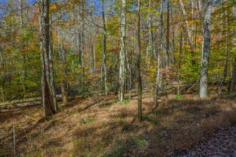 N/a Willard Mountain Road Ellijay GA 30513