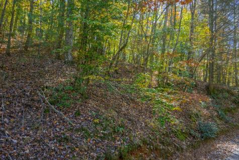 N/a Willard Mountain Road Ellijay GA 30513