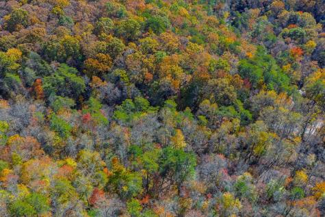N/a Willard Mountain Road Ellijay GA 30513