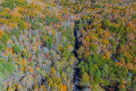 N/a Willard Mountain Road Ellijay GA 30513