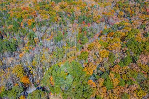 N/a Willard Mountain Road Ellijay GA 30513