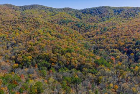 N/a Willard Mountain Road Ellijay GA 30513