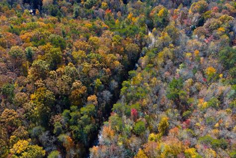 N/a Willard Mountain Road Ellijay GA 30513