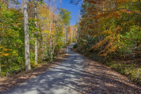 N/a Willard Mountain Road Ellijay GA 30513