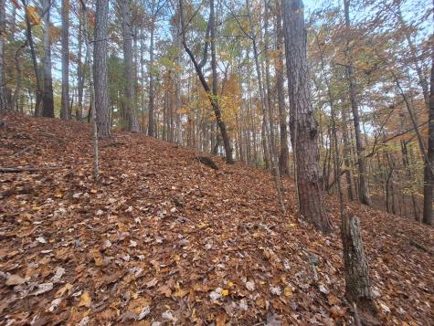 Lt2909 Newton Lane Ellijay GA 30540