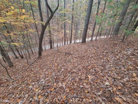 Lt2909 Newton Lane Ellijay GA 30540