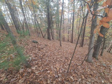 Lt2909 Newton Lane Ellijay GA 30540