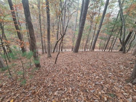 Lt2909 Newton Lane Ellijay GA 30540