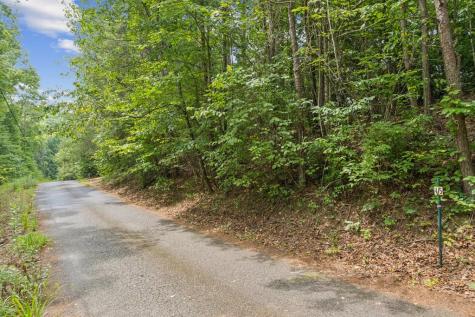 Lot 4 Riverfront Drive Ellijay GA 30536