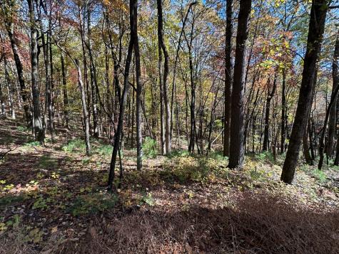 00 Stover Creek Blue Ridge GA 30513