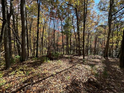 00 Stover Creek Blue Ridge GA 30513