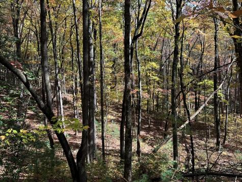 00 Stover Creek Blue Ridge GA 30513