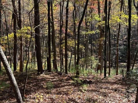 00 Stover Creek Blue Ridge GA 30513