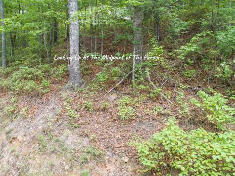 0 Deer Lane Ellijay GA 30540