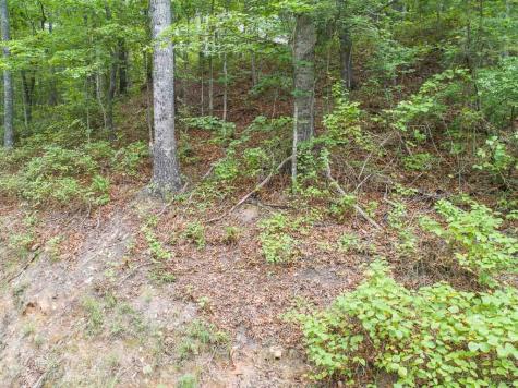 0 Deer Lane Ellijay GA 30540